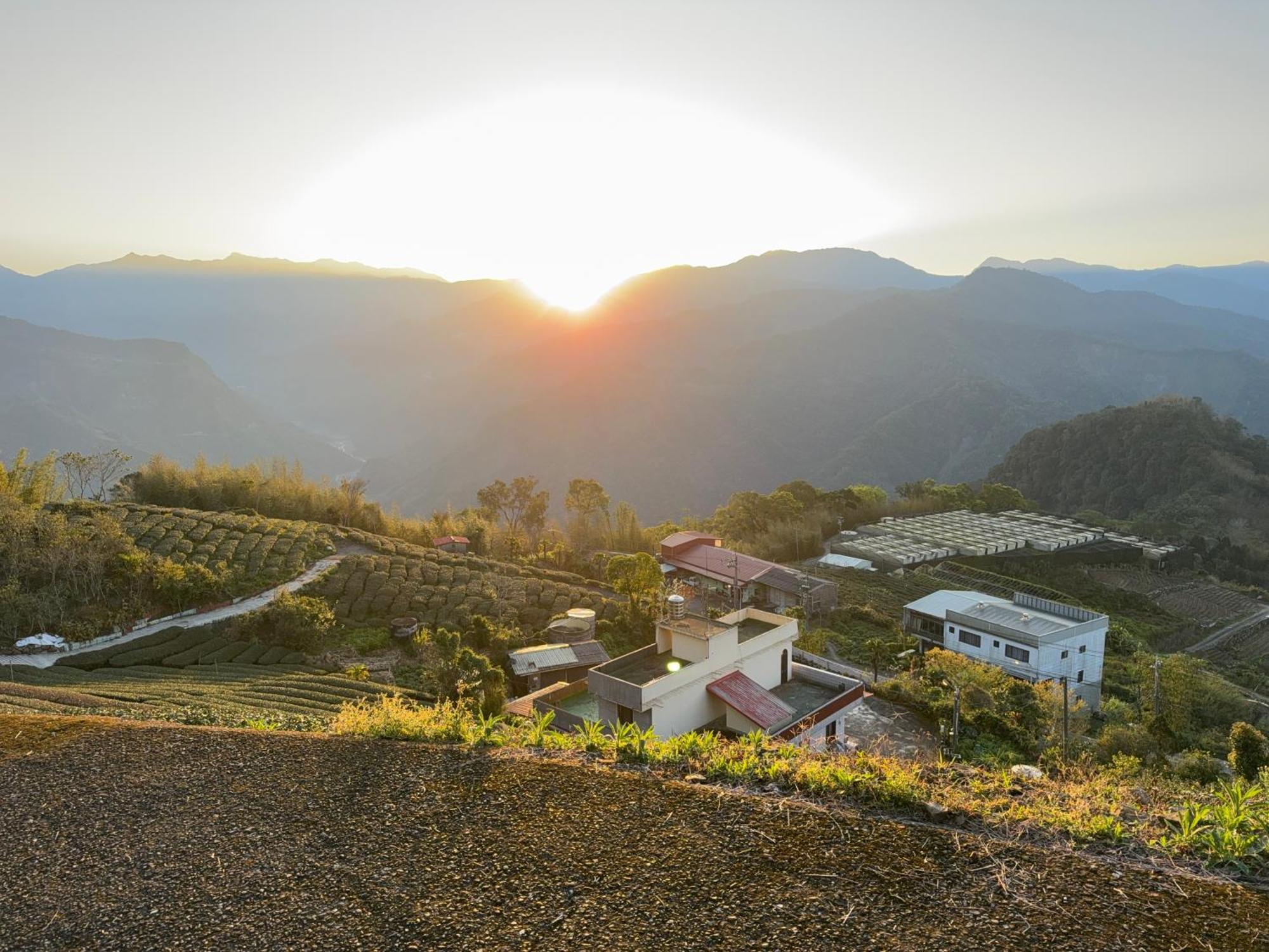 Alishan Tea Garden B&B Феньчіху Екстер'єр фото