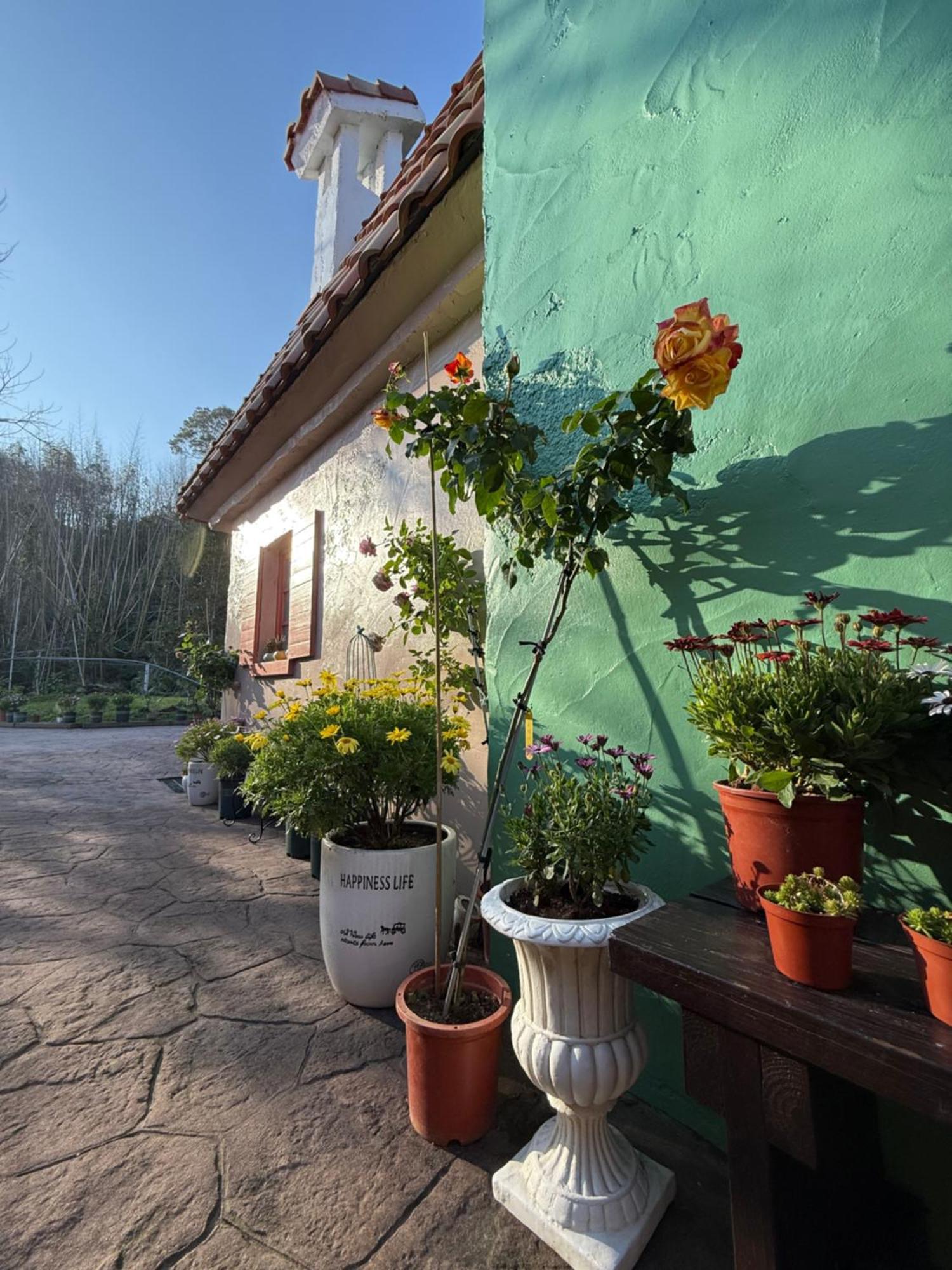 Alishan Tea Garden B&B Феньчіху Екстер'єр фото
