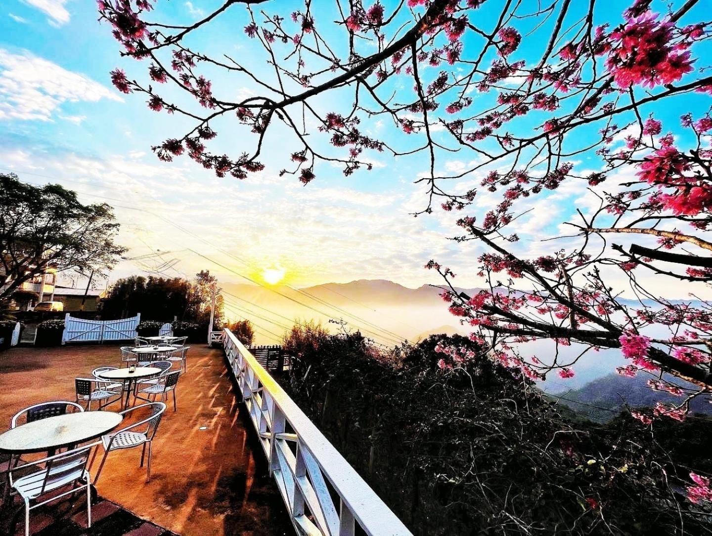 Alishan Tea Garden B&B Феньчіху Екстер'єр фото